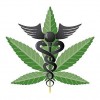 Medical Marijuana Patients ATF Ruling